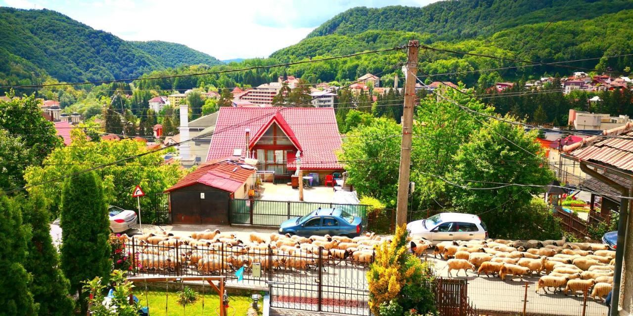 Casa Giulia Hotell Băile Olăneşti Exteriör bild